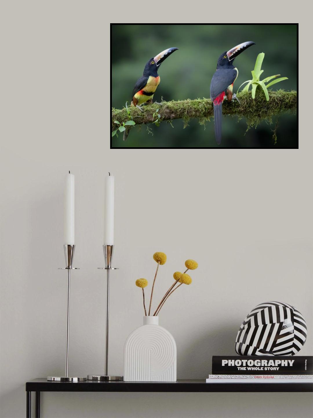Inquisitive Pair Poster och Canvastavla