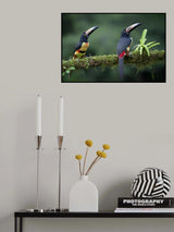 Inquisitive Pair Poster och Canvastavla