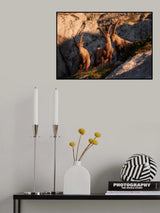 Happy trio Poster och Canvastavla