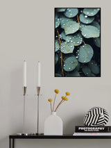 Low Light Nature No 6 Poster och Canvastavla