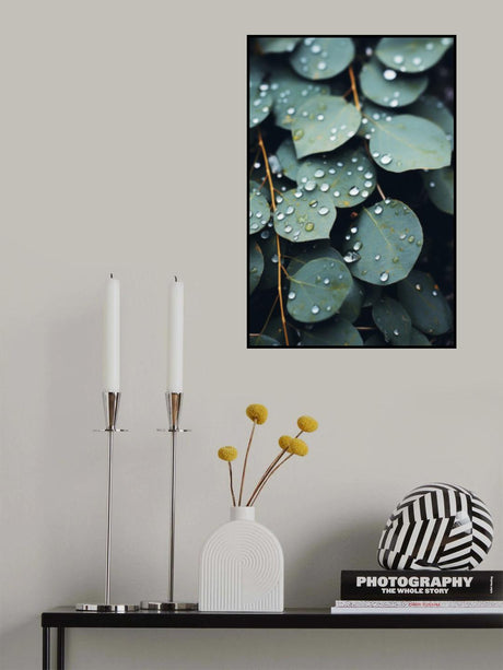 Low Light Nature No 6 Poster och Canvastavla
