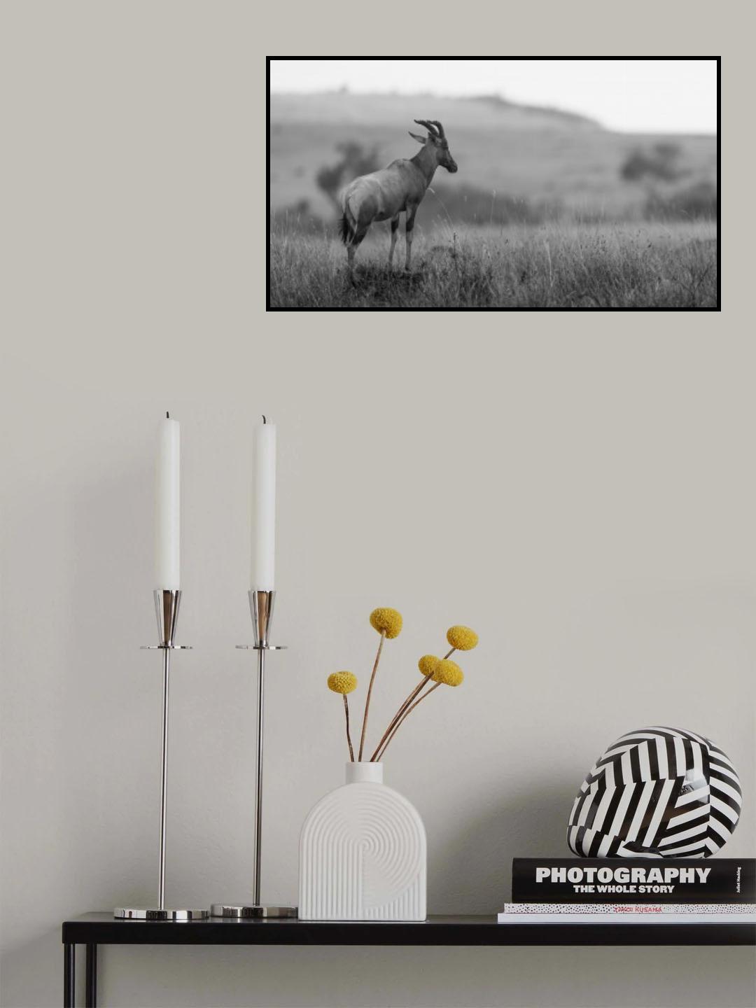 The Surveyor Poster och Canvastavla