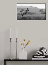 The Surveyor Poster och Canvastavla