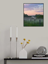 Fog and sunset Poster och Canvastavla