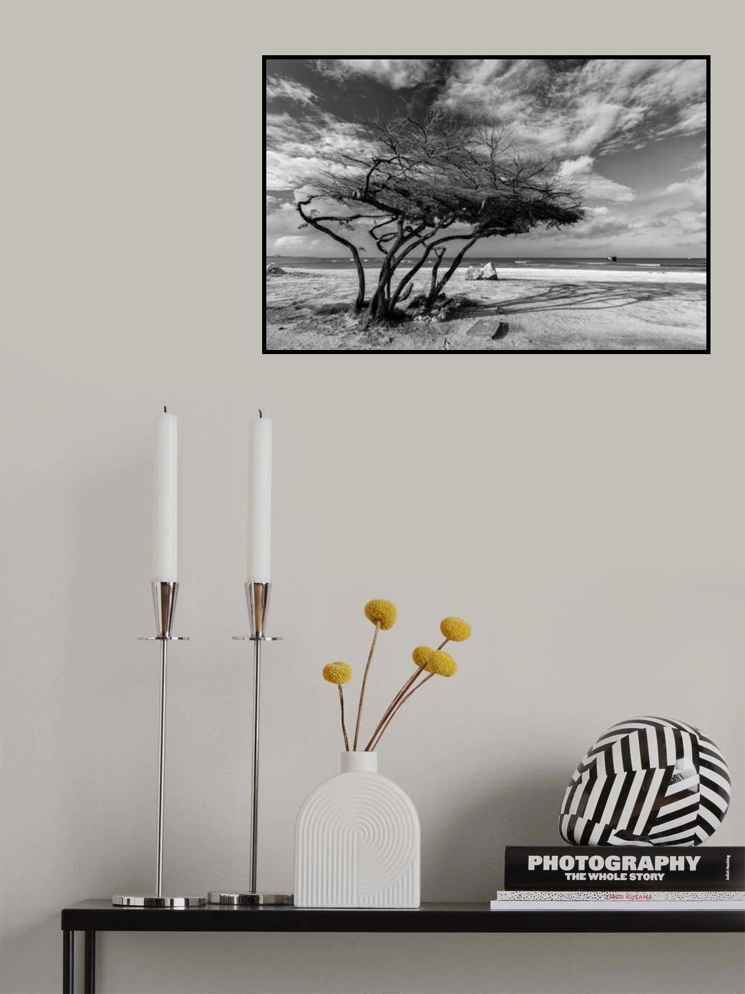 How I handle the trade wind Poster och Canvastavla