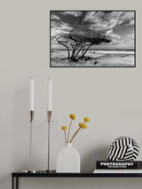 How I handle the trade wind Poster och Canvastavla