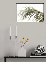 perched Poster och Canvastavla