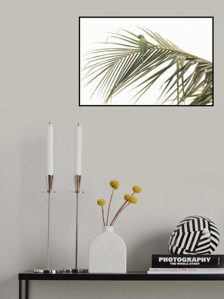 perched Poster och Canvastavla