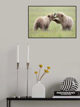 Cub Bear Play Time Poster och Canvastavla