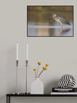 The circle of life Poster och Canvastavla