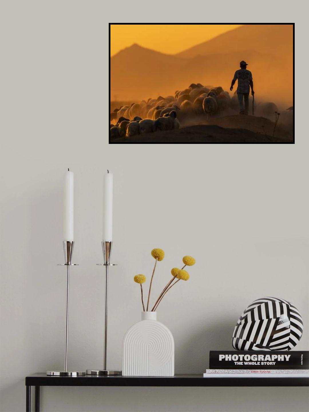 shepherd Poster och Canvastavla