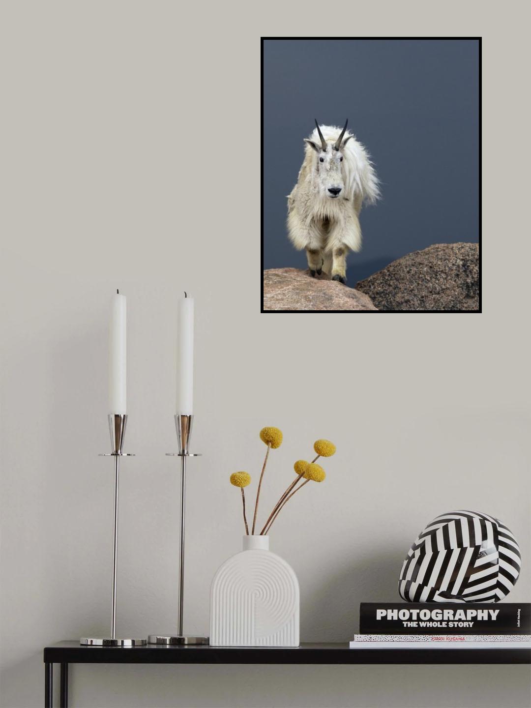 Walking tall Poster och Canvastavla