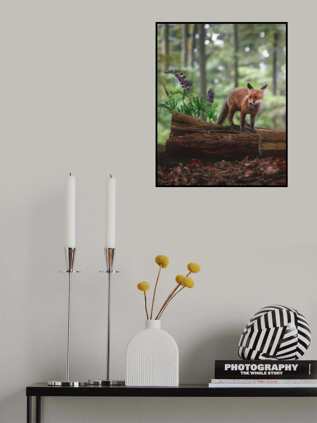 Fox in the forest Poster och Canvastavla
