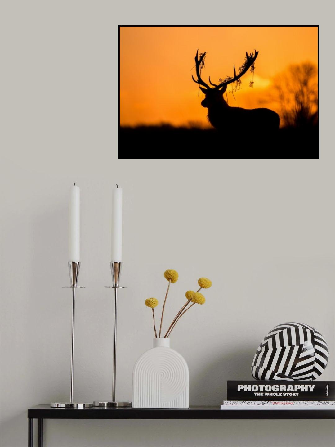 Red Deer Stag Silhouette Poster och Canvastavla