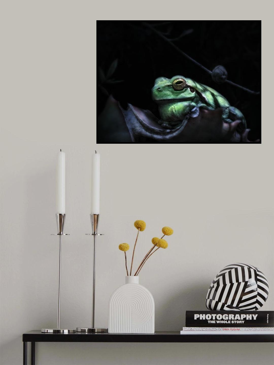 Frog in the moonlight Poster och Canvastavla