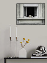 The window Poster och Canvastavla