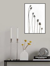 A new addition Poster och Canvastavla