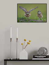 Learning to Fly Poster och Canvastavla
