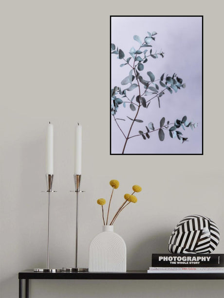 Eucalyptus 13 Poster och Canvastavla