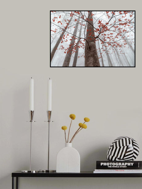 A forest detail Poster och Canvastavla