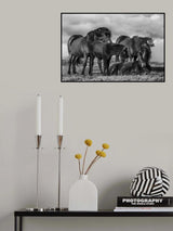Happy Family Poster och Canvastavla