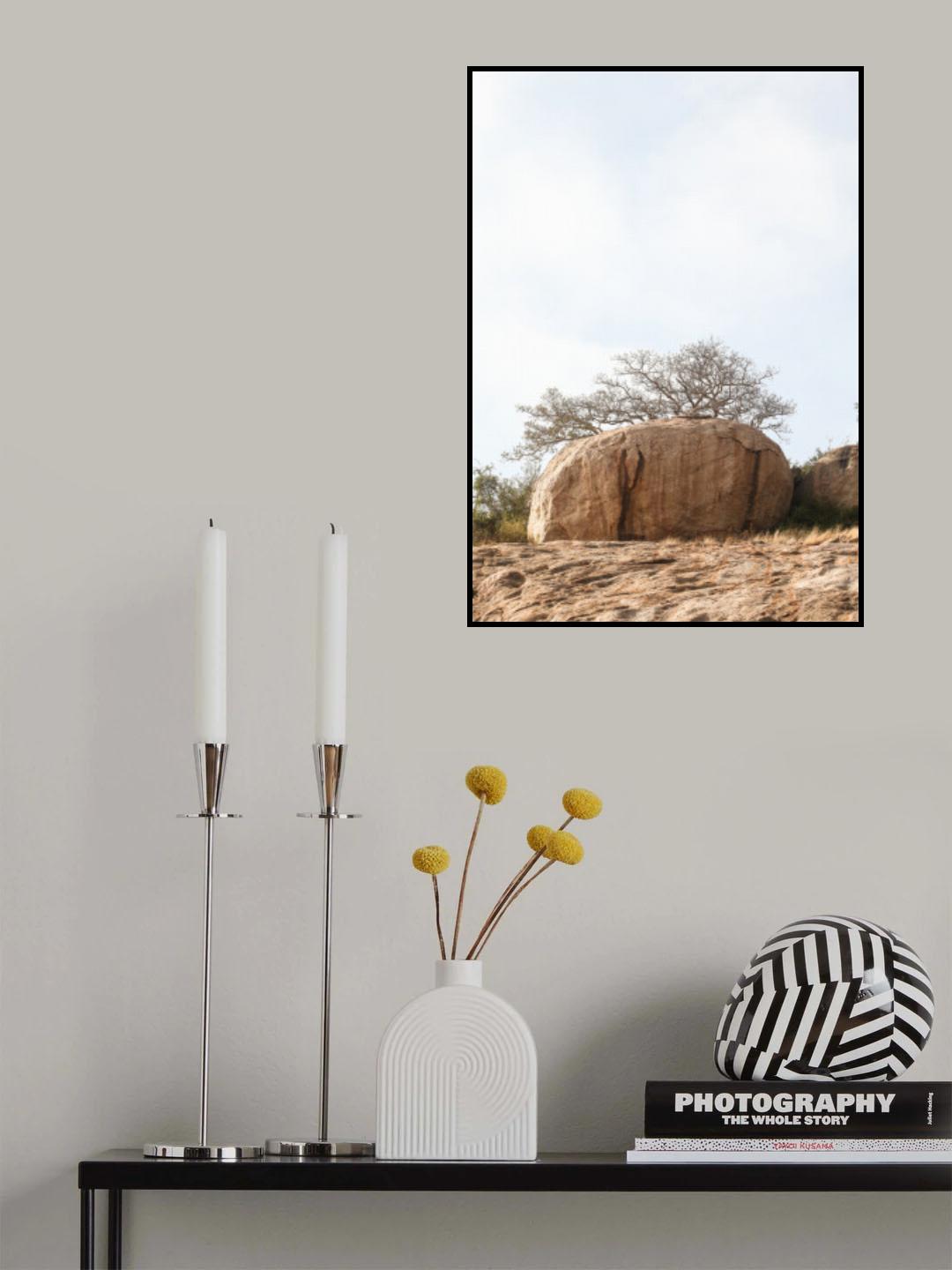 Highveld 01 Poster och Canvastavla