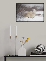 Who woke me up? Poster och Canvastavla