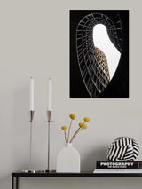 Axel Towers Lace Poster och Canvastavla