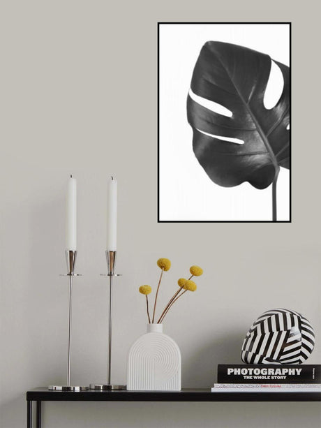 Gray monstera leaf Poster och Canvastavla