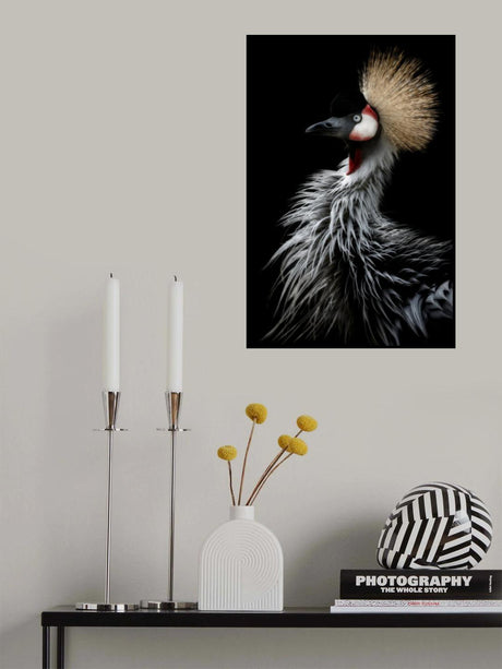 Crowned crane's portrait Poster och Canvastavla