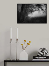 Descensus Poster och Canvastavla