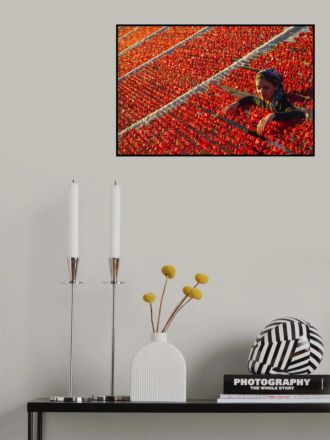 Pepper Poster och Canvastavla