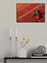 Pepper Poster och Canvastavla