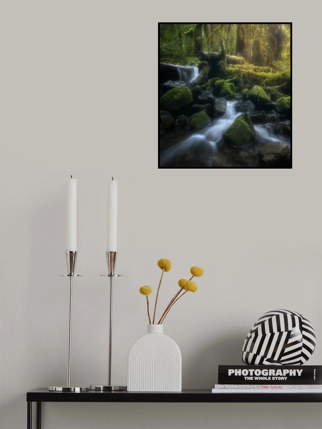 Sol Duc Cascade in spring Poster och Canvastavla