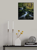 Sol Duc Cascade in spring Poster och Canvastavla