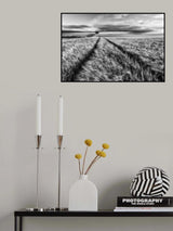 Countryside Poster och Canvastavla