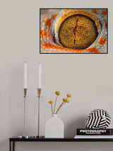 The Eye Poster och Canvastavla
