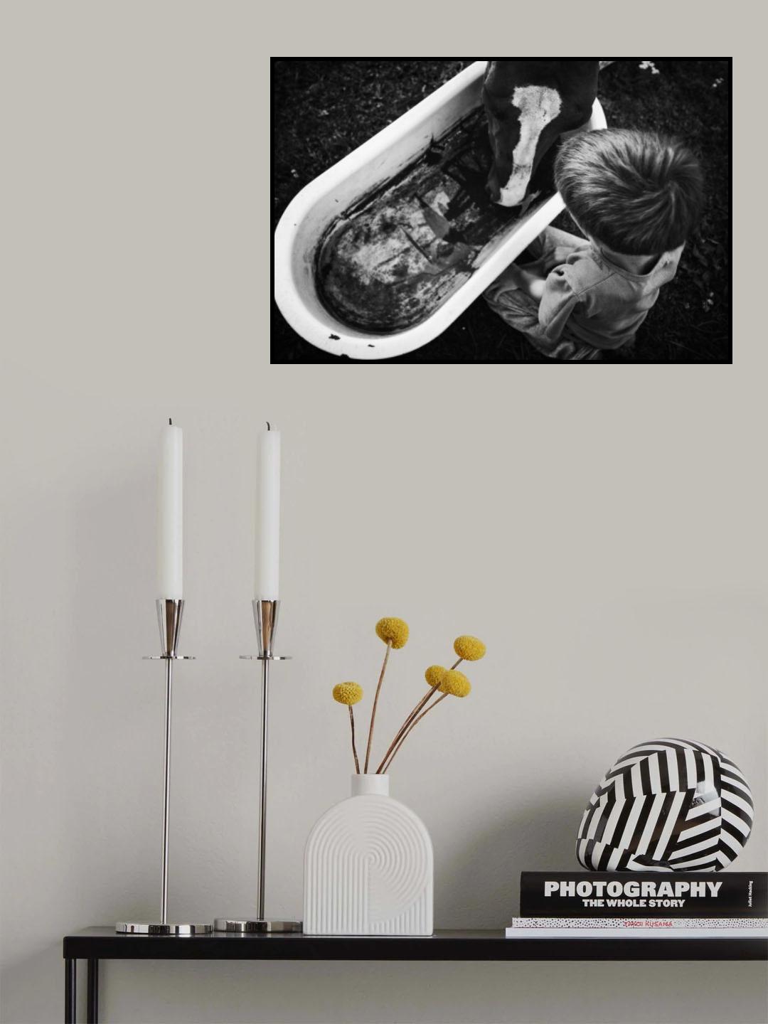 horse Poster och Canvastavla