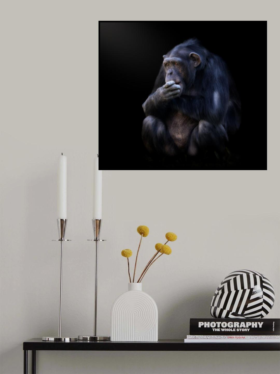 chimpanzee Poster och Canvastavla