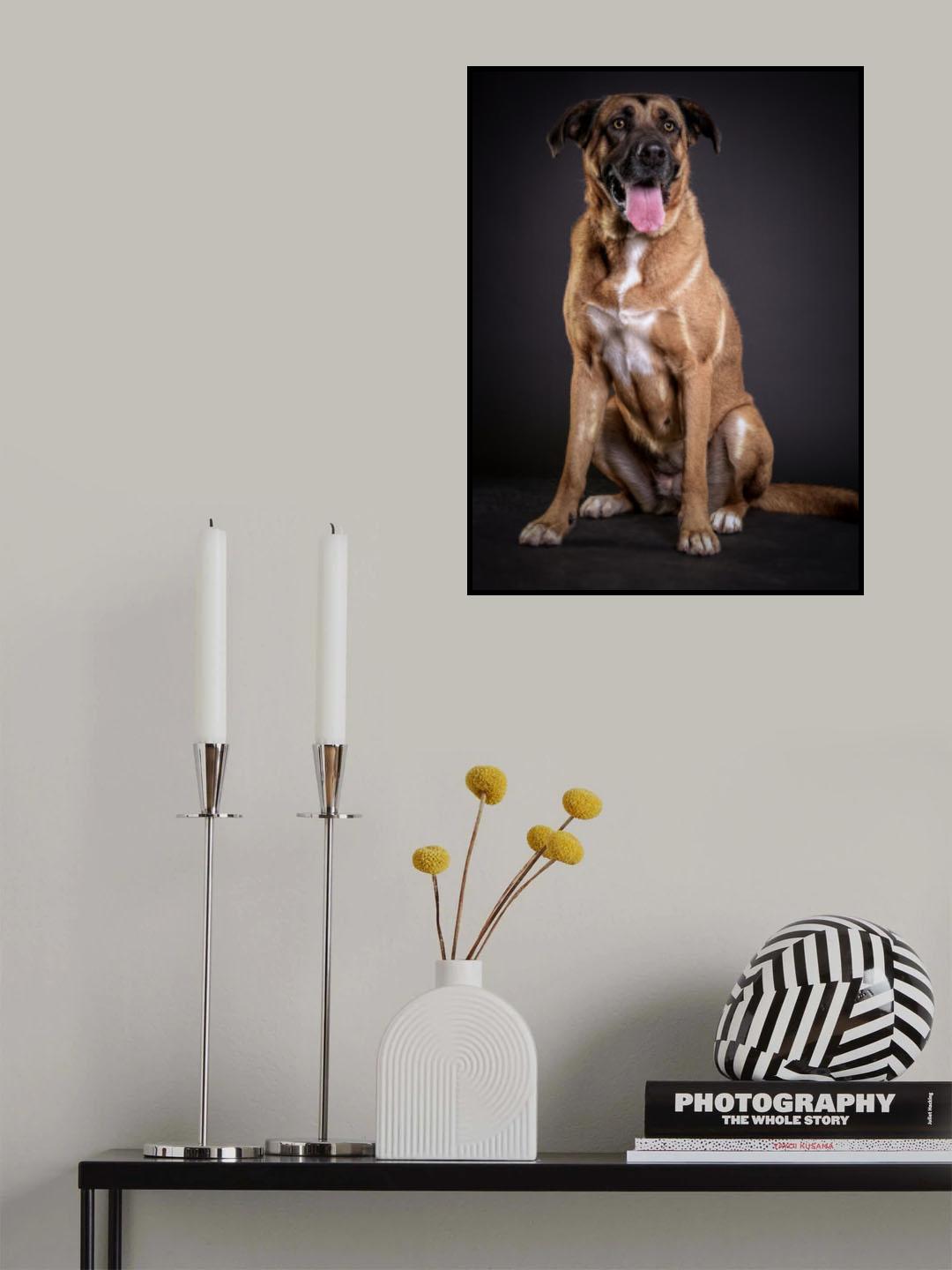 Big Lucky Poster och Canvastavla