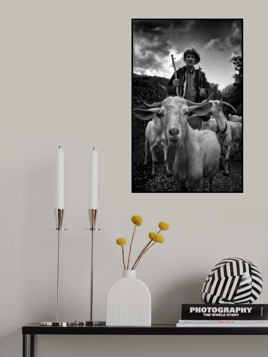 Poster och Canvastavla