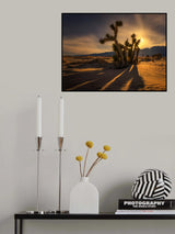 Tree of life Poster och Canvastavla