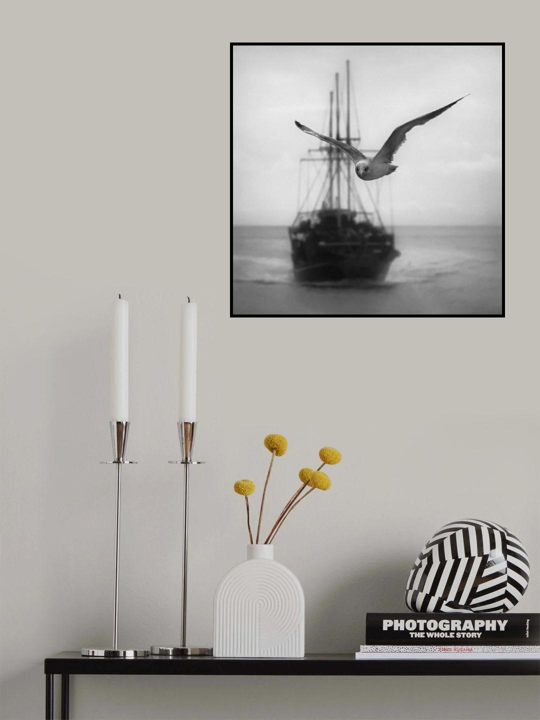 Seagull Poster och Canvastavla