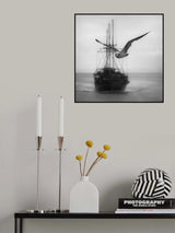 Seagull Poster och Canvastavla