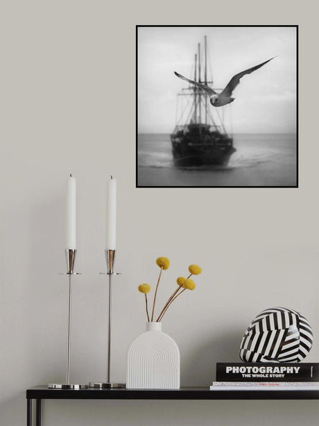Seagull Poster och Canvastavla