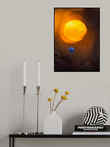 Another spring flower Poster och Canvastavla