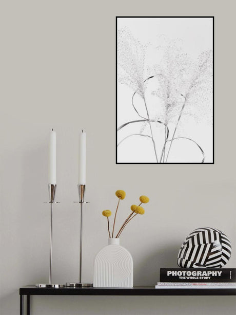 Dried Grass_black&amp;white Poster och Canvastavla