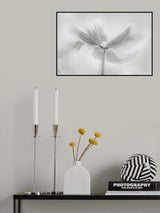 Dancing Cosmos Poster och Canvastavla