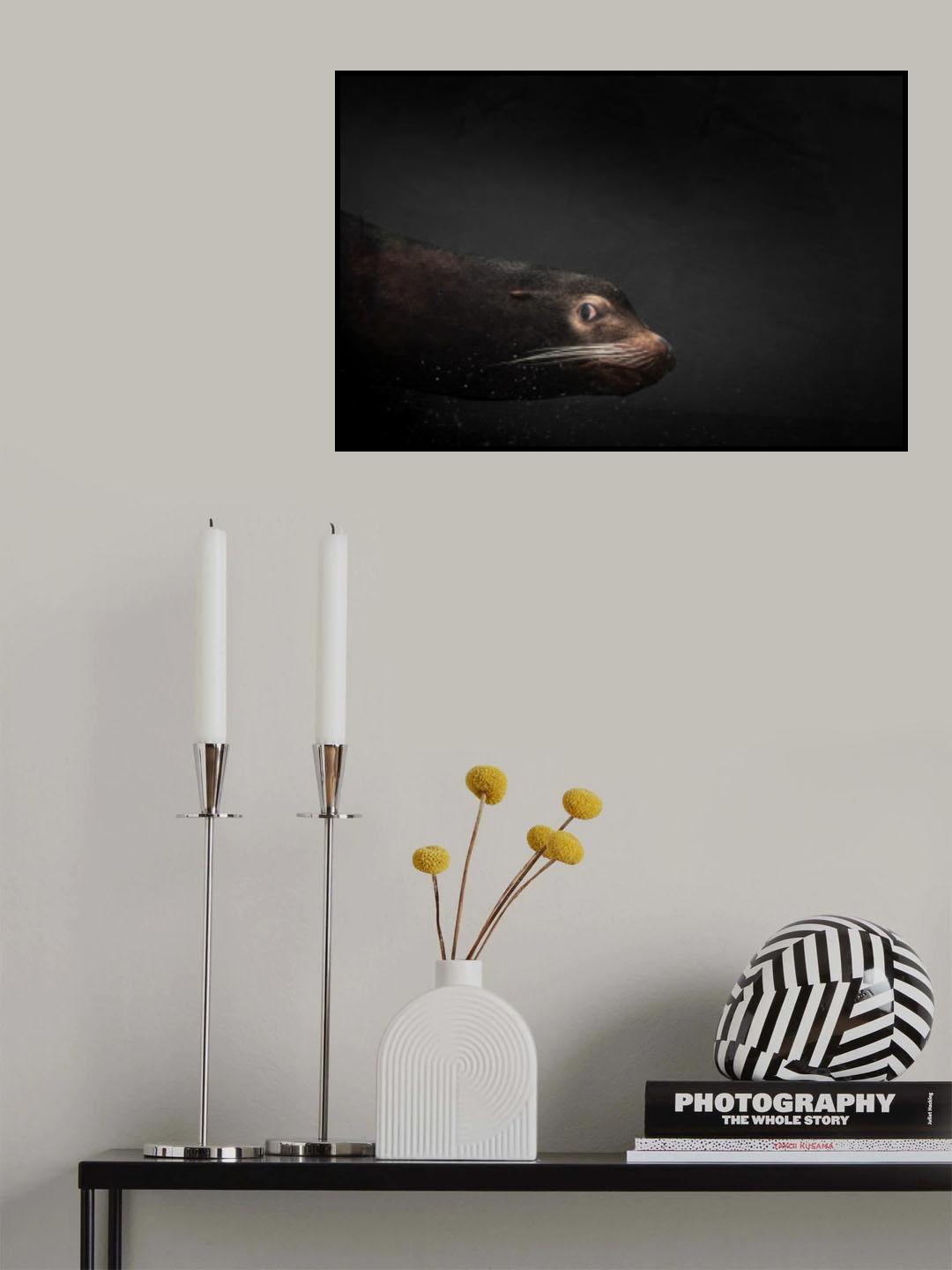 A glance from water Poster och Canvastavla