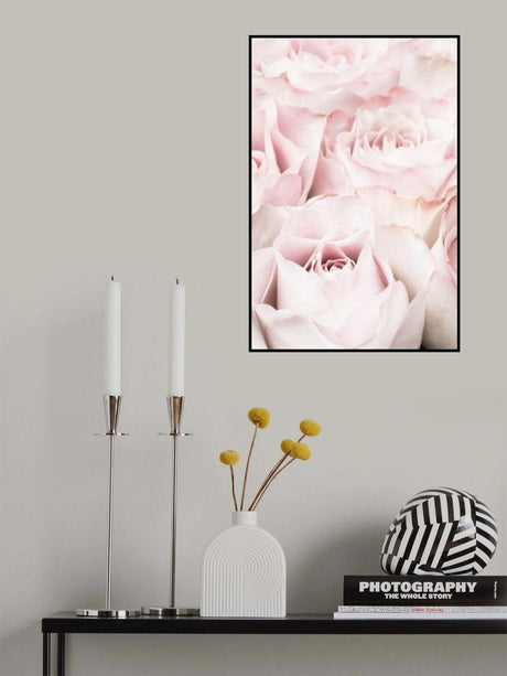 Pink Roses 05 Poster och Canvastavla